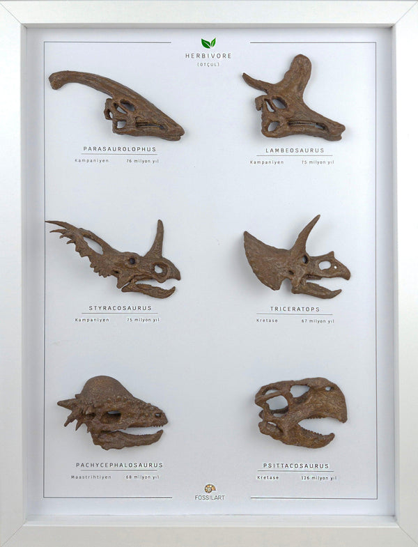 Otobur - Tablo Koleksiyon Hikayesi: Dinozorların Evrenine Açılan Pencere ‘ isimli sınırlı sayıdaki yeni serimizi sizlere sunmanın mutluluğu içerisindeyiz. Dinozor ve fosil sevginizi bir adım ileri taşıyacak koleksiyon parçası; 6 farklı etçil dinozor türün