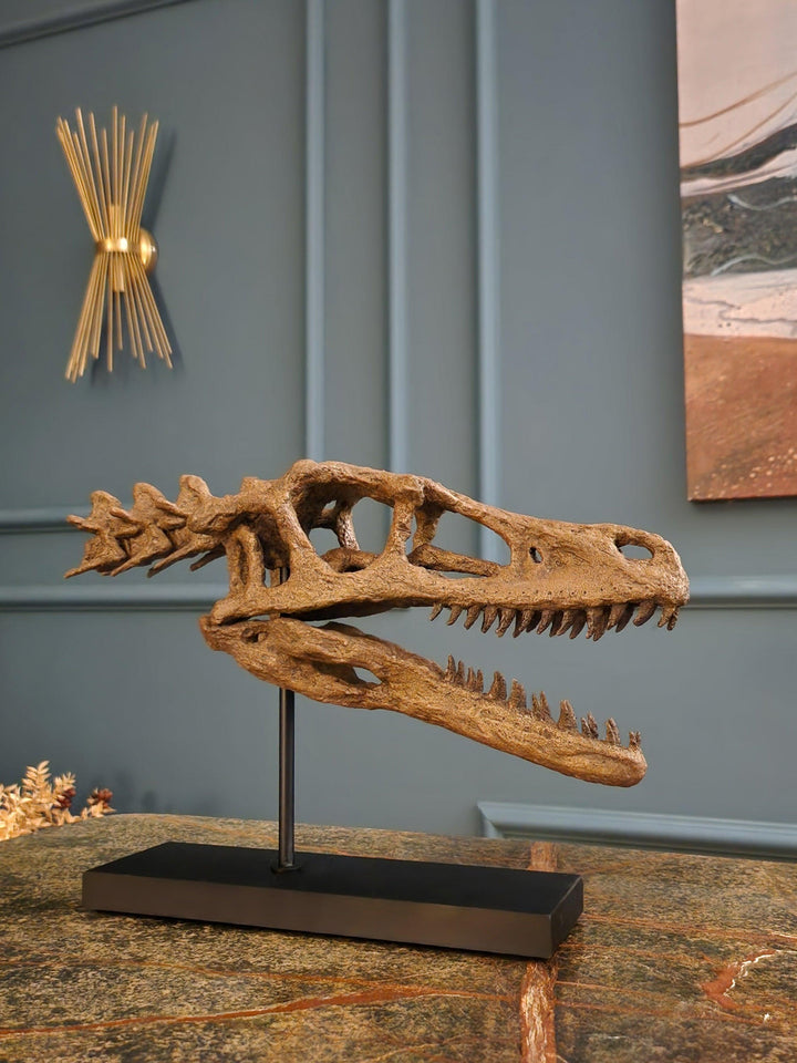 Velociraptor - Omurgalı Heykeli Koleksiyon Hikayesi: Bu etkileyici canlılar Geç Kretase döneminde(75-71 milyon yıl önce) dünya'da yaşadılar ve fosil kalıntıları 1923 yılında Moğolistan'ın Gobi Çölünde bulundu. Düzinelerce keskin, tırtıklı dişlerle donanmı