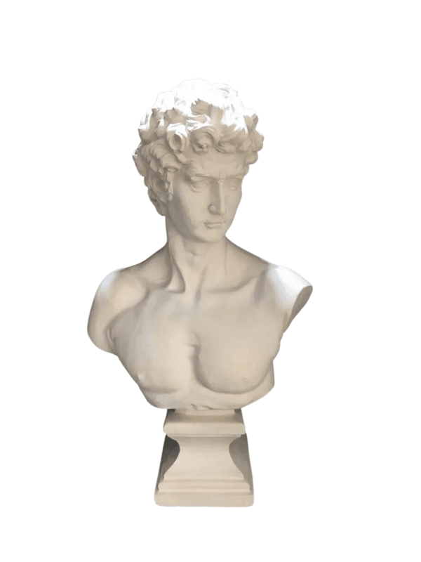 David Büstü David Büstü Yükseklik 42 cm x Genişlik 25 cm Materyal : Mermer Tozu – Polyester Açıklama: Michelangelo’nun, Davut Heykeli’ nin alçı büst uygulamasıdır.Dönemin heykel sanatının en önemli eseri olarak kabul edilmektedir.Eser günümüzde hala büyük