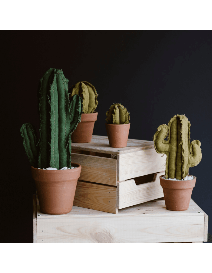 Medium Saguaro Cactus - Verde 3 Dezırt, çöl bitkilerinin ve kaktüslerinin bir yansımasıdır. Hem gerçekçi hemde gerçek dışı bir çok model içermektedir. Dezırt kaktüsleri hiç bakım gerektirmez, sulamaya ihtiyaç duymaz , çocuk ve hayvan dostudur. Small Barre