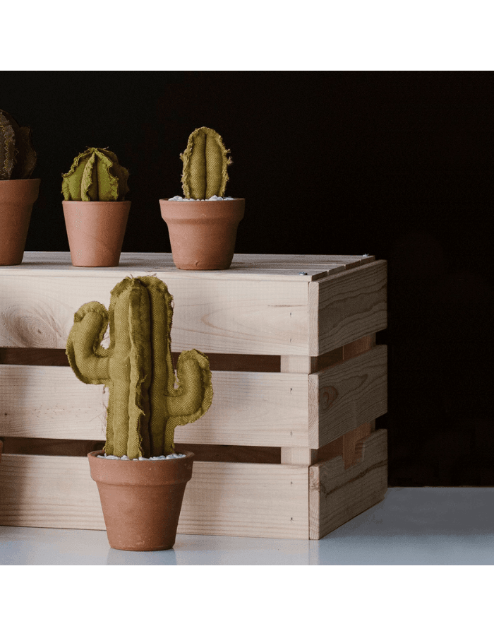 Medium Saguaro Cactus - Verde 3 Dezırt, çöl bitkilerinin ve kaktüslerinin bir yansımasıdır. Hem gerçekçi hemde gerçek dışı bir çok model içermektedir. Dezırt kaktüsleri hiç bakım gerektirmez, sulamaya ihtiyaç duymaz , çocuk ve hayvan dostudur. Small Barre