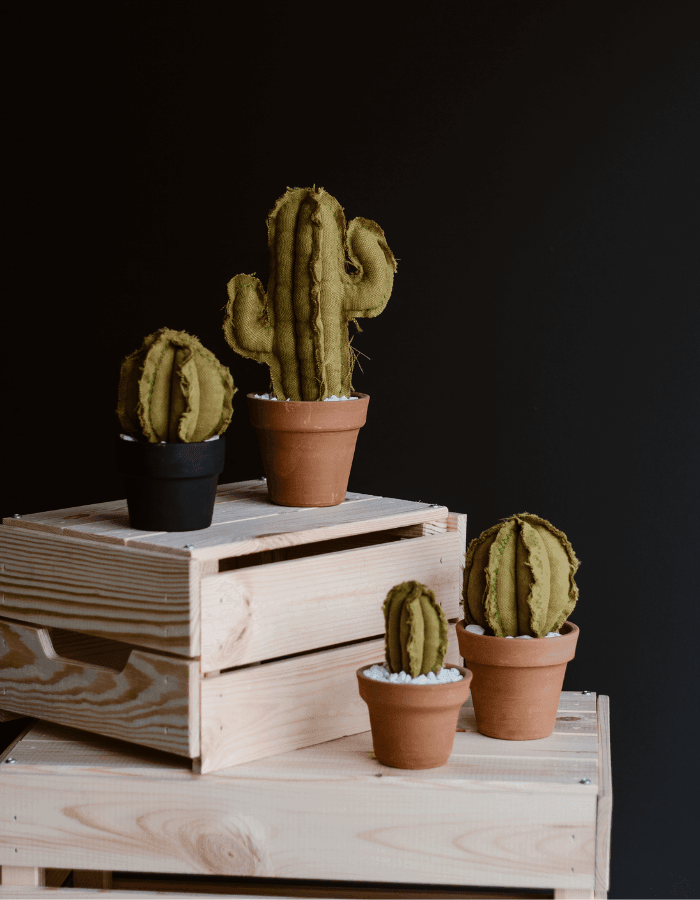 Mini Column Cactus - Verde 3 Dezırt, çöl bitkilerinin ve kaktüslerinin bir yansımasıdır. Hem gerçekçi hemde gerçek dışı bir çok model içermektedir. Dezırt kaktüsleri hiç bakım gerektirmez, sulamaya ihtiyaç duymaz , çocuk ve hayvan dostudur. Mini Column ka